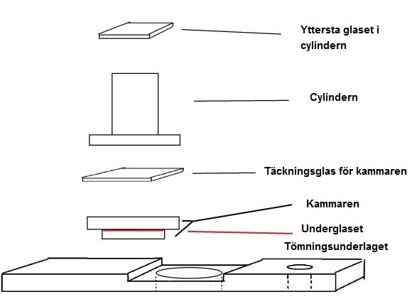 osatsve