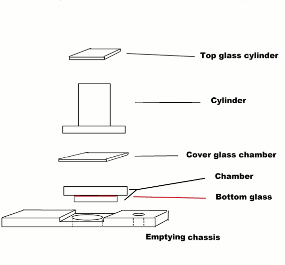 Components of Zwerver phytoplankton chamber