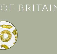 Diatom Flora of Britain and Ireland