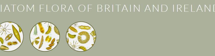 Diatom Flora of Britain and Ireland